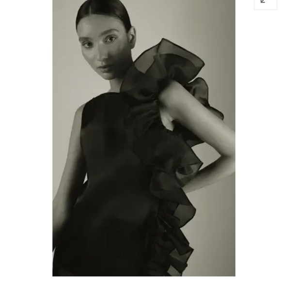 Marlies Grace Bea Dress Ruffle Sheer Satin black XS X Small maxi formal NEW - Picture 4 of 16